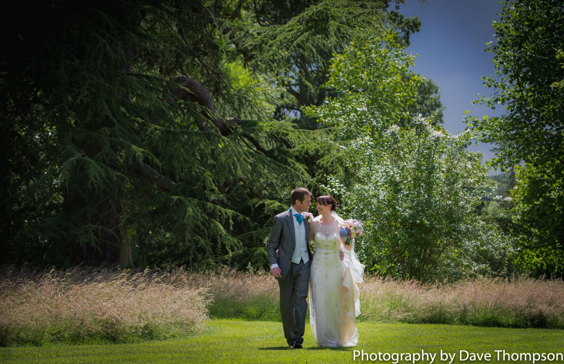The wooded areas of Combermere Abbey