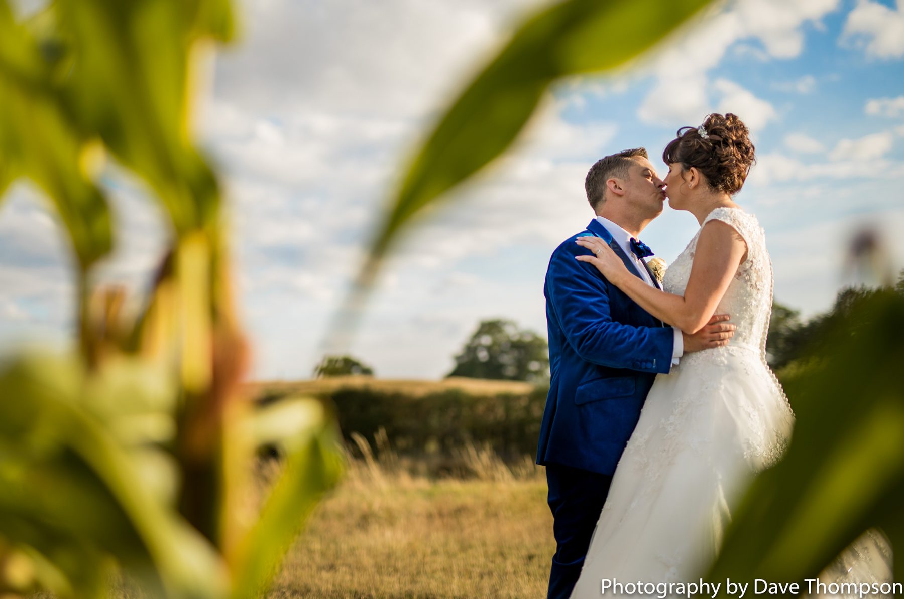 The bride and groom together in a corn field at Sandhole Oak Barn