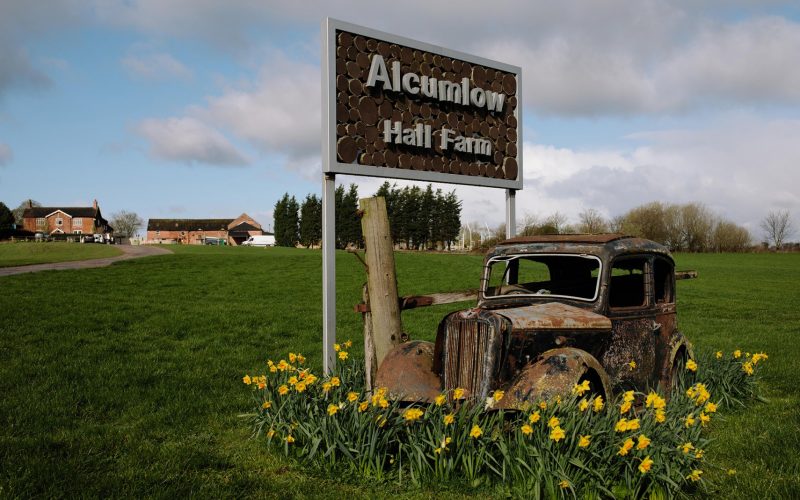 The old car surrounded by flowers on the drive up to Alcumlow Wedding Barn