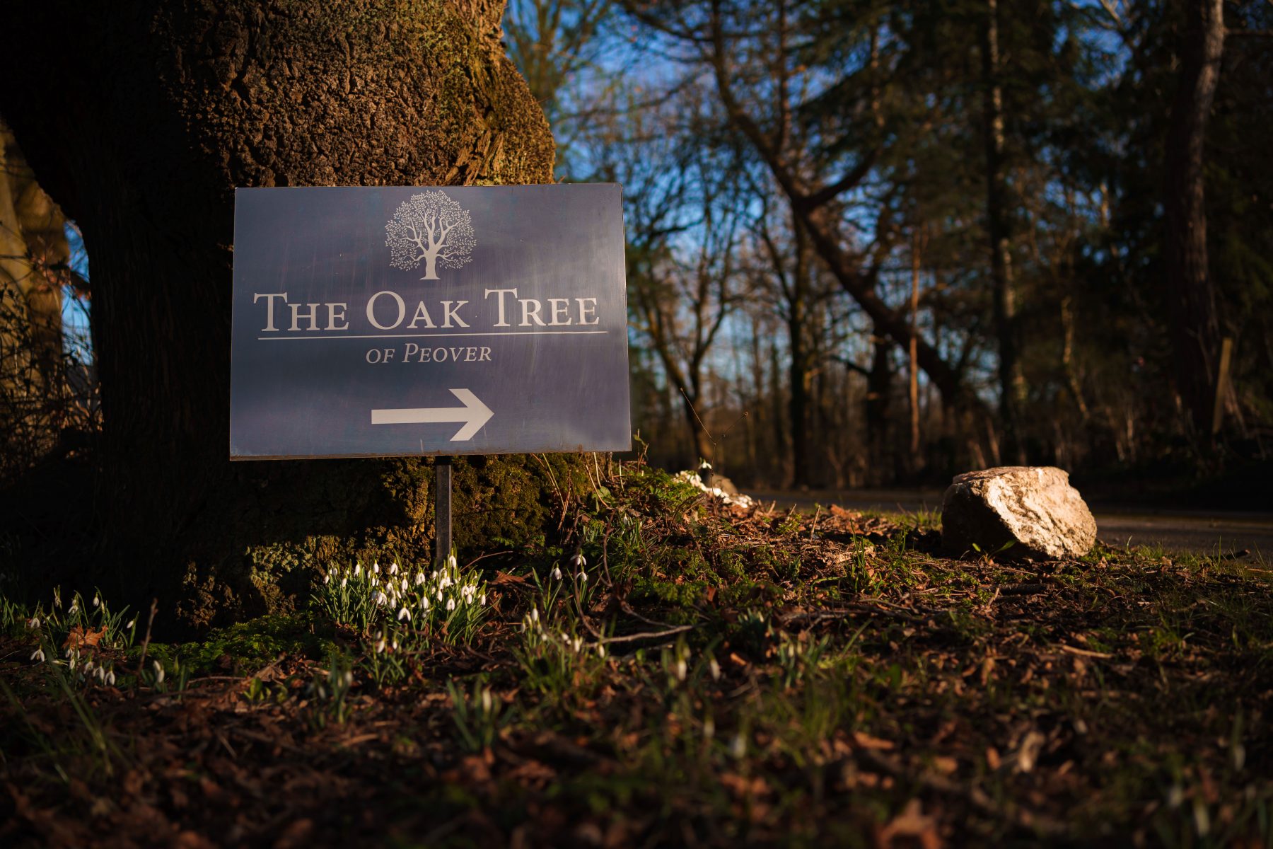 The sign at the driveway at The Oak Tree of Peover