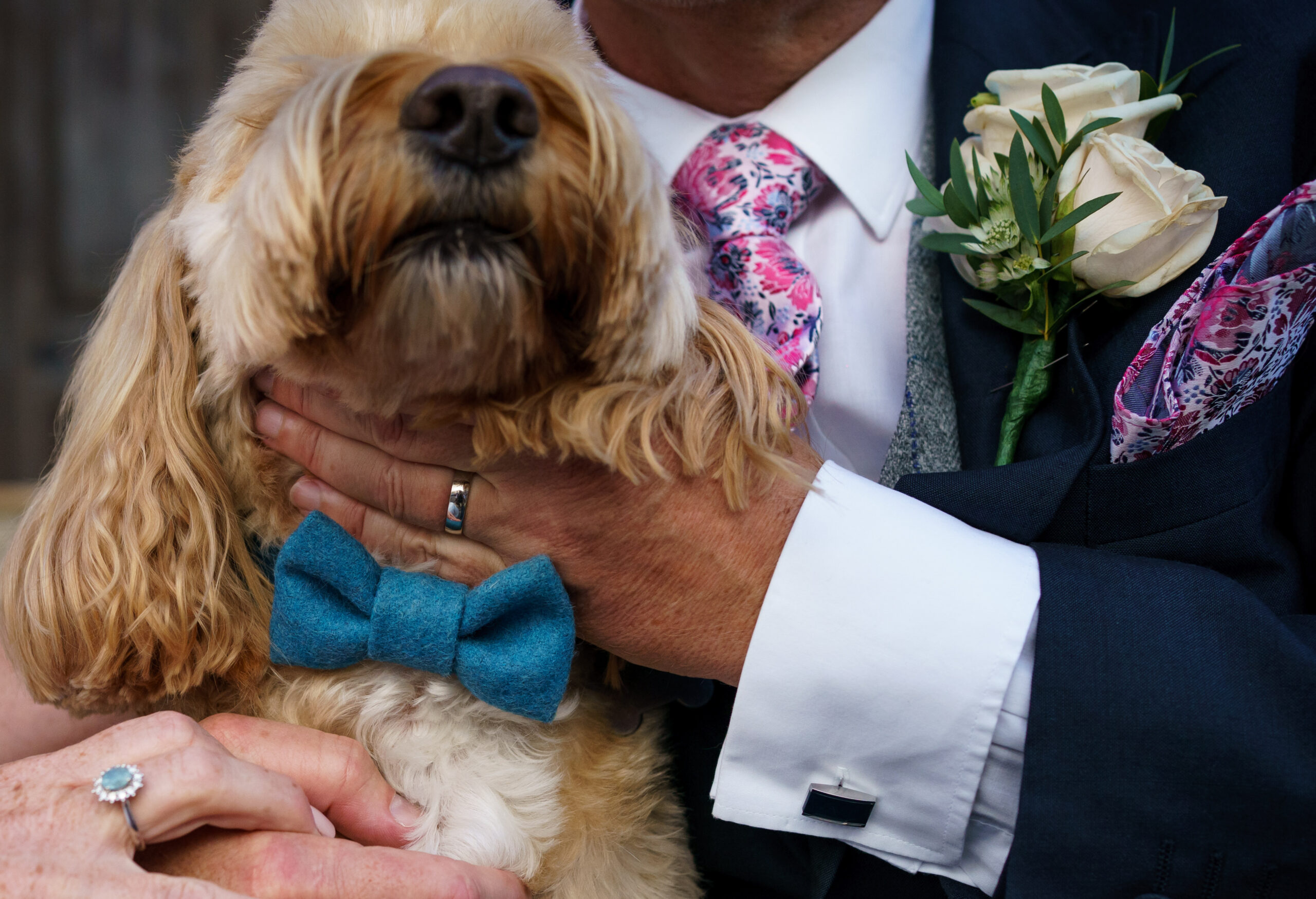 How to Include Your Dog in Your Wedding Day